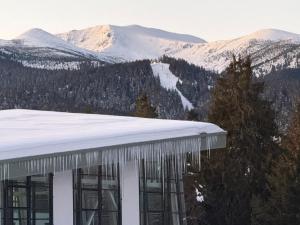 FrostLine Peak Borovets Ski Forest Retreat