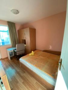 Bogdanov Apartment