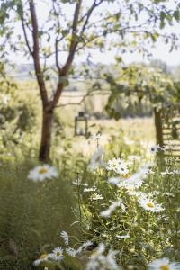 The Hide on the Vineyard with wood fired hot tub Option