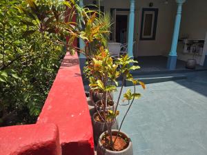 Le Jardin Suffren-Le Grand Studio
