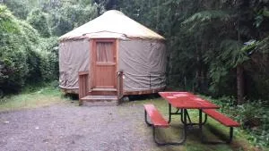 Snowflower Camping Resort 16 ft. Yurt 10 - Graeagle