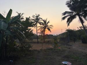 Whispering Woods Organic Farm Stay