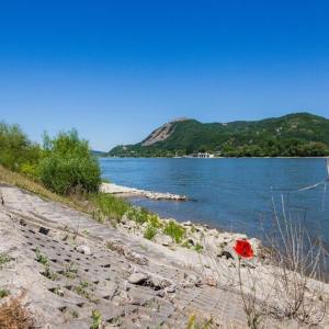 Vár-Lak Nagymaros