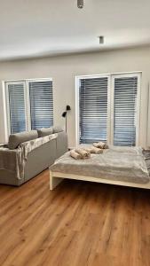 Apartmán v komplexu Meridiem