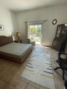Orange tree apartment