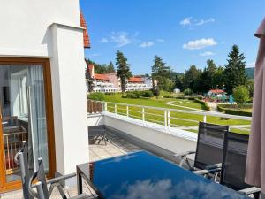 Lipnest - Lake & Relax Apartment Lipno s privátní saunou a terasou