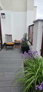 Wyjątkowy apartament przy uniwersytecie