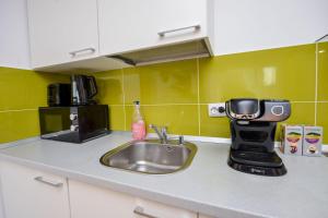 Bucharest Apartment - Two Bedrooms - 6 Guests - Cismigiu Gardens