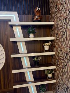 luxury flat in mohali-chandigarh