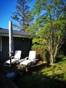 Spitze DK Ferienhaus Marielyst mit Sauna und Kinderspielhaus