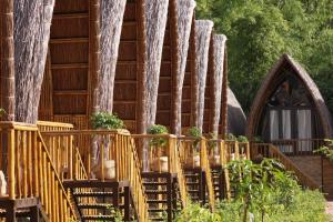 Woodstock Jungle Camp