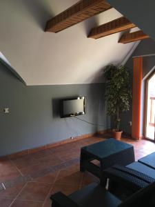 Vila Ianis Bran