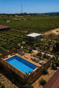 Moments in Nature Vineyard Bungalows Pool & Jacuzzi