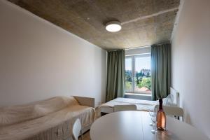 Brand New studio apartment #16 near center with FREE street parking