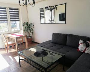 Apartamenty Centrum Nowe