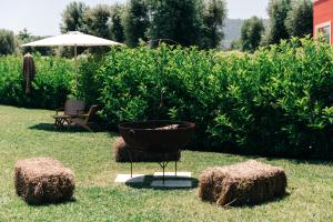 Appartamento Jungle - Tenuta Fascianello