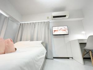 SC Hotel Kameari #1111 - Newly Renovated High Floor City View 2min to Mall 5min to Station Disney Access