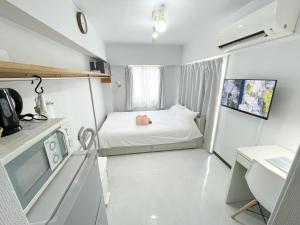SC Hotel Kameari #1111 - Newly Renovated High Floor City View 2min to Mall 5min to Station Disney Access