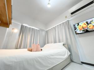 SC Hotel Kameari #1111 - Newly Renovated High Floor City View 2min to Mall 5min to Station Disney Access