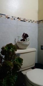 Sacred Valley Boutique Vegan Guesthouse
