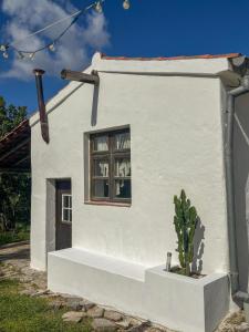 One-of-a-kind seminar house