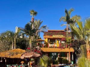 Kokomo on the beach with heated swimming pool