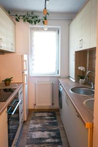 Bucur Residence Rupea - apartament modern cu 2 camere pentru 4 persoane