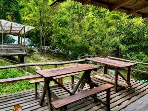 Sunny Jungle Waterfall Retreat