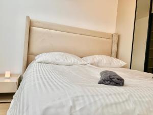 Luxury Stylish Apartment with Balcony & Free Parking