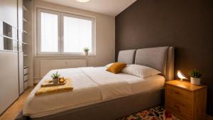 Big cozy 3room apartment, Zobor view, free parking