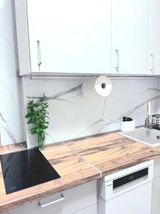 Emilu Studio Apartaments