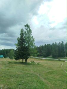 Durmitor Forest Retreat
