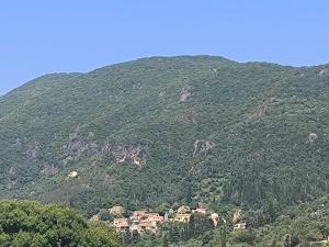 Alexandros and Georgia