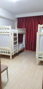 Wonder Mongolia tour operator and guest house
