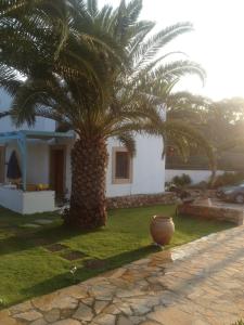 Patmos Garden Patmos Greece