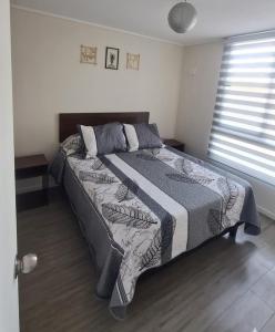 Apartment for rent in Firenze La Serena Condo