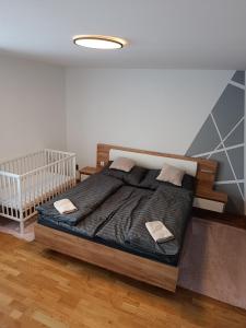 Apartmán Forst
