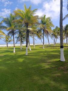 Nautilus suites