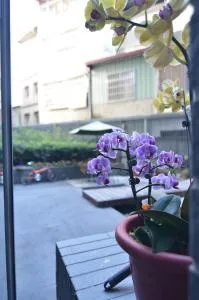 爱恋逢甲 - Hsia-shih-pi