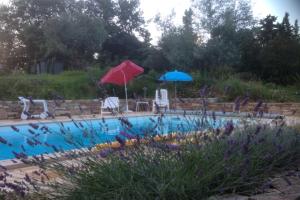 Deux pièces cosy en Corse, piscine et jardin pittoresque