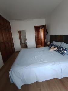 Estudio centrico Palafrugell