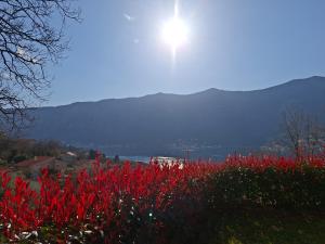 Apartman Lana