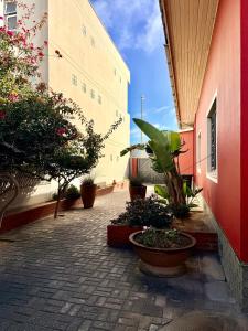 Le Mimose Escape - Swakopmund Namibia