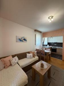 Apartman Tomić Vrnjacka Banja