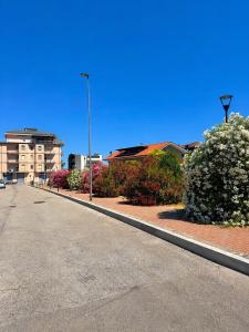 Camelia house