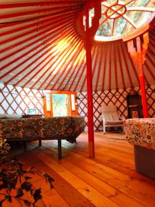 Anima Mundi