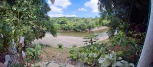 Rio Cañas Mingueo