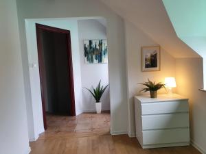 Studio ZUBROVA