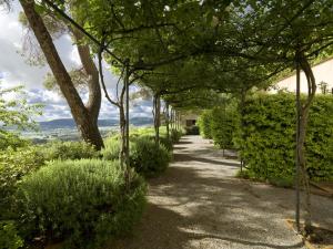 Via Montali 7, Colle San Paolo, 06068 Panicale PG, Italy.