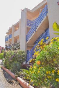 Appartement T2 en résidence de vacances - Halawa 182